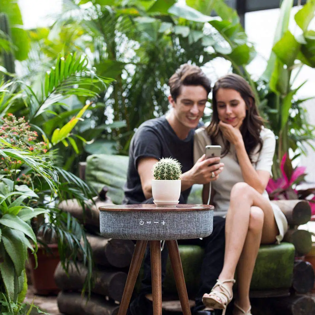 blaupunkt wooden table built in speaker