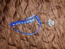 1 Uds Colorul, suministros para mascotas, Collar de gato con Bell Collar de hebilla ajustable suministros para mascotas gatos gato accesorios Collar de perro