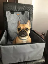 2 en 1 coche frente cubierta de asiento de coche para mascotas impermeable canasta para cachorro Anti-Silp Pet Car Carrier perro gato de coche de viaje al aire libre