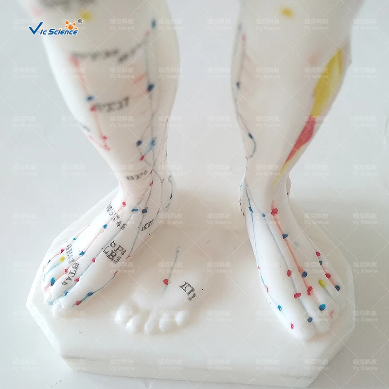 VIC-506 (7)