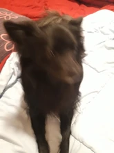 Porta tarjetas Rfid antimagnéticas para hombre y mujer, billetera inteligente de cuero PU, monedero Vintage corto, Mini bolsa para dinero