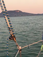 Female Thread Connector Pipe-Fitting-Adapter Coupler Tee-Type Brass Water-Fuel BSP 3-Way