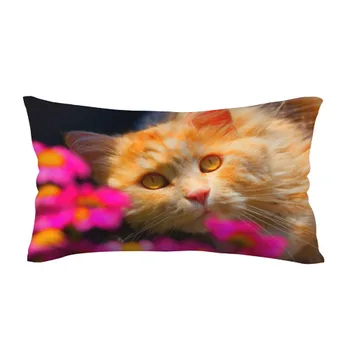 Pillow 3D antistress Kitty
Pillow 3D antistress Kitty