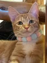 Bola de peluche de Collar para perros y gatos Collar dulce bufanda para perro lindo gatito accesorios Rosa correa para el cuello perrito con perla perro Pug Chihuahua