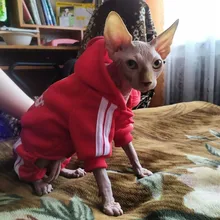 Suéter con capucha Para gato, Ropa cálida Para mascotas, Para gatos, Sphinx, satten, Ropa Para gatos, Kedi, Giyim, productos Para mascotas