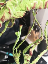 Artificial Rattan Reptile Box Case Decoration Lizard Green Plants Jungle Habitat