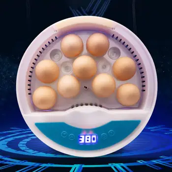 US/UK/EU Plug Automatic Breeding Machine 9 Eggs Brooding Machine Pc Field Breeding Machine Incubator Chicken Duck Poultry
US/UK/EU Plug Automatic Breeding Machine 9 Eggs Brooding Machine Pc Field Breeding Machine Incubator Chicken Duck Poultry