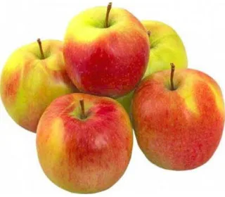 Apples Florino
Apples Florino