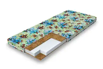 Mattress dimax dreamer 70x200 cm
Mattress dimax dreamer 70x200 cm