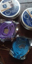 Collar de prevención de pulgas y garrapatas para perros y gatos, repelente de mosquitos, ajustable, accesorios para perros, 8 meses, novedad