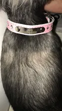 Puppy-Dog-Cat-Collar Engraved Bling Custom Personalized Pet-Dog Dogs Chihuahua Collars