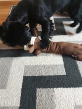 Puppy-Toys Chicken-Toy Pet-Products Dog-Accessories Dogs Screaming Training Chew Squeak