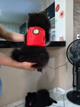 Mochila de nailon de colores para Gato, mochila multifunción con arnés y correa para perros pequeños