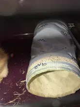 Tubos de juguete pequeños de conejillo de indias para hámster, túnel de primavera, jaula para hámster, casa de un solo canal, Chinchillas, juguete cálido