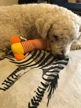 Pet-Toys Duck-Pig Squeak Chew Funny Elephant Fleece Durability Dog Cat Popular Sound-Toy