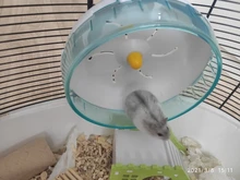 Pet-Supplies Platform Pet-Toy-House Castle Hamster Nest Pet-Hedgehog Wooden Observation