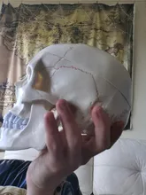 Modelo de accesorios médicos de tamaño real, Cráneo humano, modelo de anatomía anatómica, enseñanza médica, esqueleto, cabeza para estudiar, suministros de enseñanza