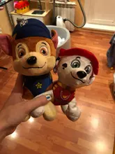 20cm Peluche pata patrulla perro de Peluche mariscal Everest rastreador Chase Skye de Peluche muñeca animé de Peluche juguetes de Peluche juguete para regalo