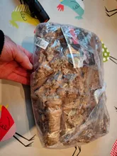 Pet-Supplies Terrariums Lizard Cork Bark Reptile-Climbing Hiding-Place Wood-Habitat Natural-Tree