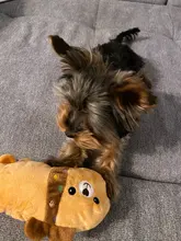 1pc peluche perro hueso juguetes mordedura-resistente limpia perro masticar cachorro juguete de entrenamiento de Banana y zanahoria vegetal, suministros para mascotas