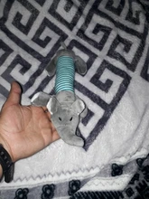 Juguete de peluche con sonido para perros Chihuahua Yorkie, juguete interactivo de entrenamiento para mascotas, 3 diseños