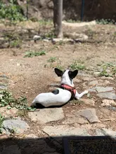 Empuñadura de recortador, nueva maquinilla de cortar el pelo de barbero, goma antideslizante, diseño antideslizante, para peluquero, anillos decorativos de silicona