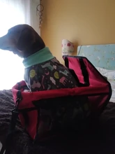 DEKO-Protector para asiento de coche para perros, hamaca plegable de viaje, Protector para mascotas, bolsas colgantes de malla, cesta para el cuidado de gatos, estera impermeable para mascotas