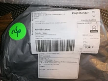 Dewel perro gato Collar Anti pulgas, garrapatas mosquitos al aire libre de protección impermeable ajustable Collar de 8 meses de protección a largo plazo