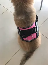 Arnés de perro sin tirones, arnés de mascota ajustable transpirable reflectante para chaleco de perro, Parche de identificación personalizado para exteriores, suministros para perros que caminan