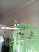 Columpio para aves de juguete soporte de percha de madera con cuentas para masticar, soporte para dormir, juguetes para pájaros periquitos C42