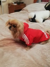 Sweatshirt Hooded Adidog Four-Seasons Pet-Jacket Small Cotton Warm And Medium-Sized Hot-Sale