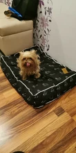 Bed Sofa Dog-Bed Large Dog Waterproof Cat-Mat Animal-Pattern Small Soft for Medium