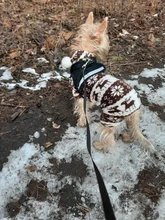 Dog Cat Harness Reflective Vest Pet Chest Strap Mesh Breathable Dog Harness And Walking