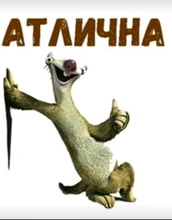 Brida de cable de color reutilizable y recta, brida de nailon con velcro en forma de T, herramienta de gestión de cables de gancho y bucle, 50 Uds.