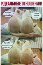 Gancho de pared de acero inoxidable, autoadhesivo, para cocina, baño, baño, bola, bolsa para llave, percha de almacenamiento, soporte para colgar