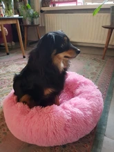 Bastante y mejor 18 colores largo perro de peluche 2017 Top papá Oso Polar animal camas calmante cama Hondenmand cachorro cojín para mascotas de invierno sofá cálido perro camas, perrera