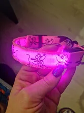 Cheervivi-Collar de nailon con luz LED ajustable para mascotas, Collar con brillo para perro, suministros para perro, venta al por mayor