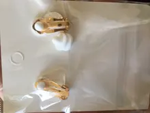 Pendientes de Clip para mujer, aretes de leopardo acrílico largo cuadrado geométrico circular sin Piercing, Clips para las orejas