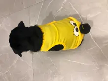 T-Shirt Small Dogs Cartoon Chihuahua Fashion Hot Cute for Pet-Dog-Clothes Cat