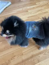 Chaleco vaquero de primavera para perros pequeños, ropa de Tzu para perros Yorkshire Terrier, ropa estilo vaquero para cachorros, chaqueta para Chihuahua, ropa para gatos