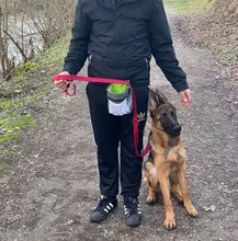 Pet bolsas para premios para adiestramiento de perros desmontable portátil mascota perrito bolsillo de alimentación Snack para cachorros recompensa interactivo cintura de bolsa