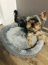 pawstrip Soft Plush Winter Dog Bed Round Cat Bed Warm Puppy Cushion Chihuahua Teddy Small