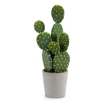 Cactus Ibergarden Plastic (13 x 40 x 12 cm)
Cactus Ibergarden Plastic (13 x 40 x 12 cm)