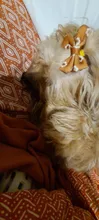Pinzas encantadoras para el pelo para bebé, pinza para el cabello para niña y niño, horquilla Vintage Ins, accesorios para el cabello para niña, horquillas de fiesta, gran oferta