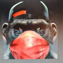 E***s