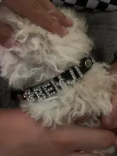 Cat-Collar Puppy Rhinestone Dogs-Name Custom Bling Personalized Cute Adjustable Green