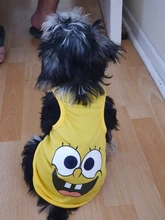 T-Shirt Small Dogs Cartoon Chihuahua Fashion Hot Cute for Pet-Dog-Clothes Cat