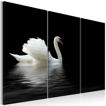 Picture-White Swan solitarily-60x40 cm
Picture-White Swan solitarily-60x40 cm