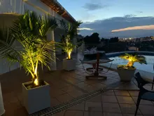 Spotlight Separately-Lamp Solar-Panel Garden-Tree Landscape Yard Warm T-SUNRISE 2 White