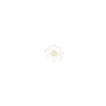 LED ceiling lamp charon 70W White 
LED ceiling lamp charon 70W White
